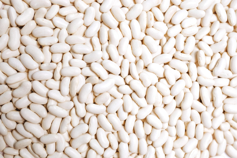 Lots of white beans. Texture background. Top view.