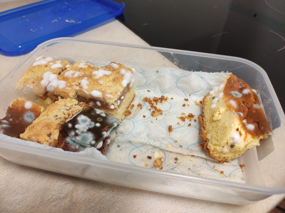 Mold on cakes in a plastic container