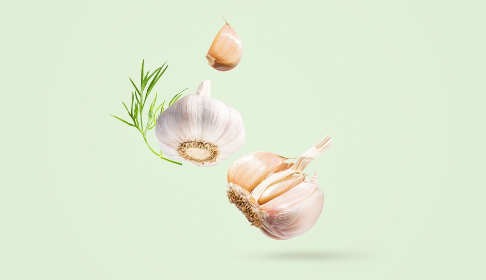 Creative food concept. Minimalistic light green background with natural root vegetables. Flying fresh organic garlic with green leaves dill. Spicy seasoning for cooking. Copy space. Horizontal banner.
