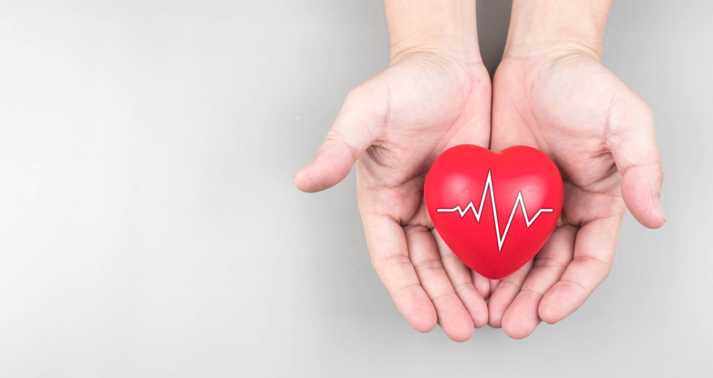 Hand hold red heart electrocardiogram on white background.
Heart and vascular disease with heart wave concept.