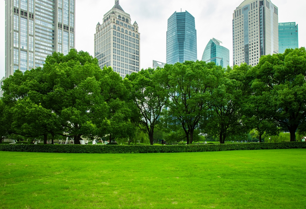 China's first tier cities Shanghai and beautiful parks in the city