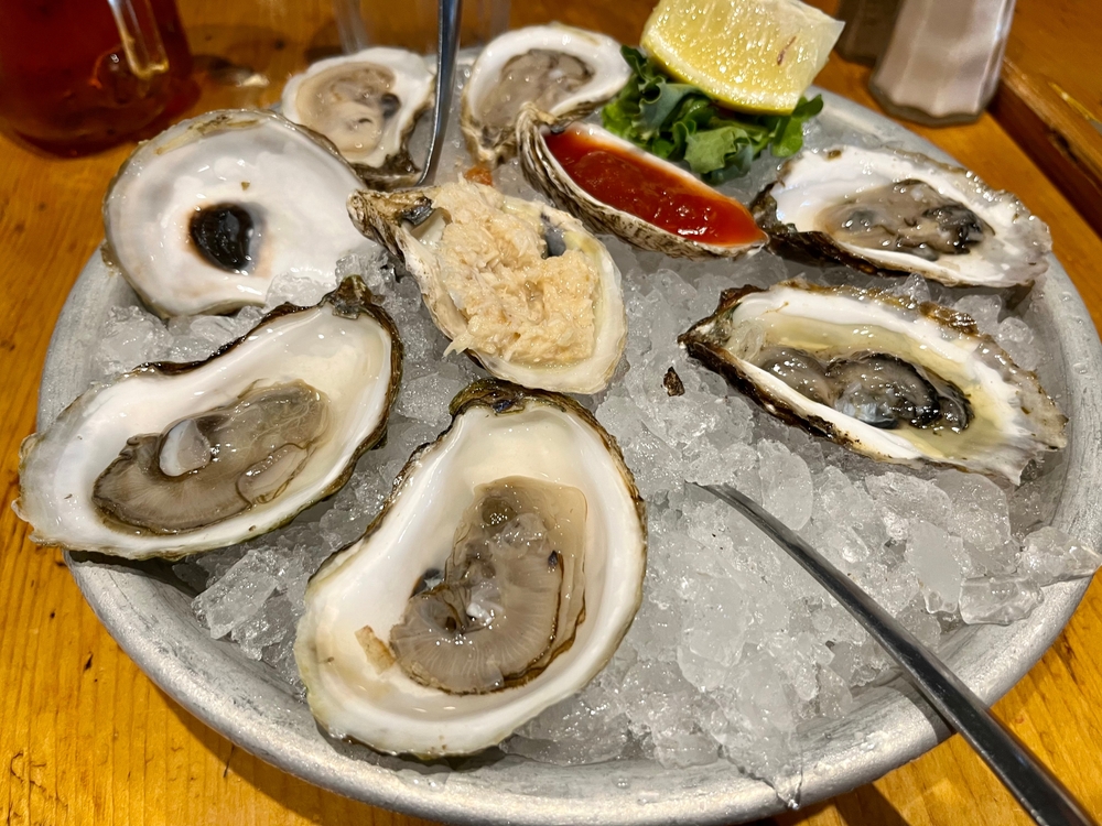 Oysters on the half shell sitting on top of a bed of ice.