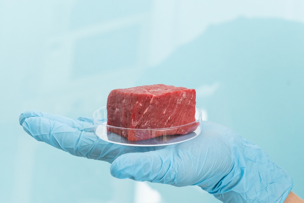 Lab grown meat concept - meat in petri dish