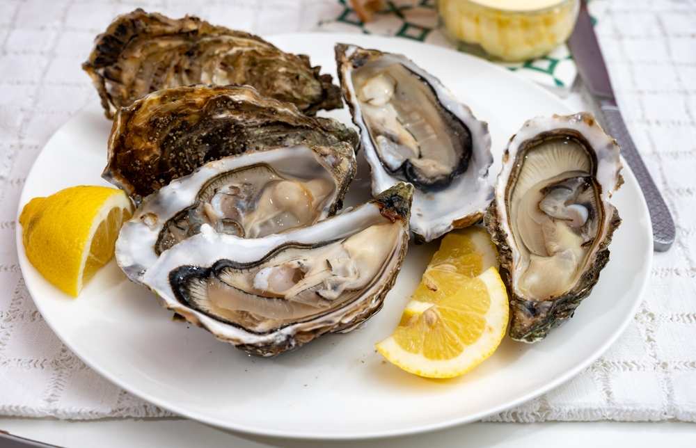 Fresh big alive french, dutch, pacific or japanese oysters molluscs, size number 1, served with fresh lemon, raw sea food