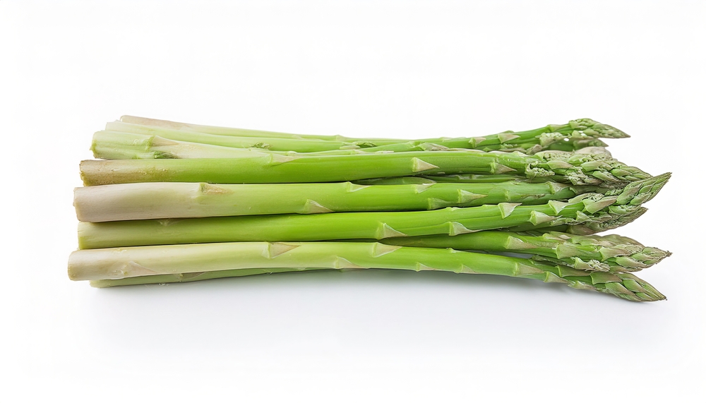 a bundle of Asparagus - Asparagus officinalis - ready to be cut, cooked and eaten or used as an ingredient in cooking. isolated on white background