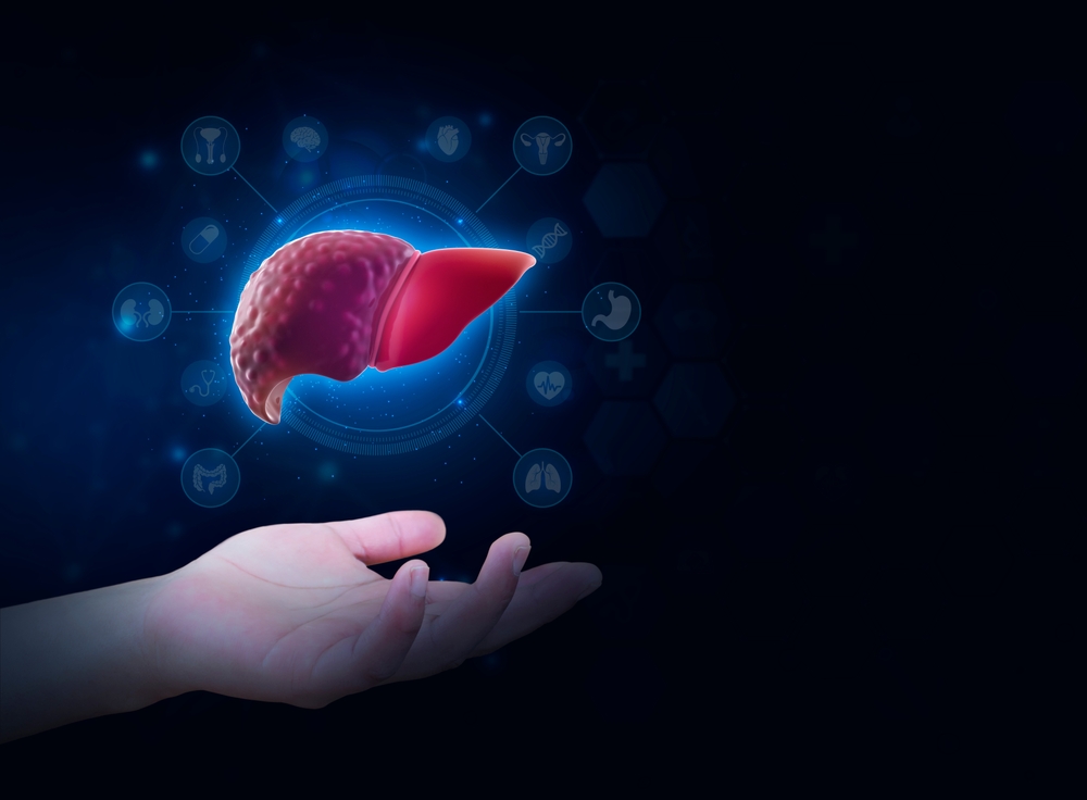 Concept of effective treatment of liver cirrhosis. The doctor's hand shows the liver in poor condition. Isolated on a digital technological background. Technological development in hepatology.