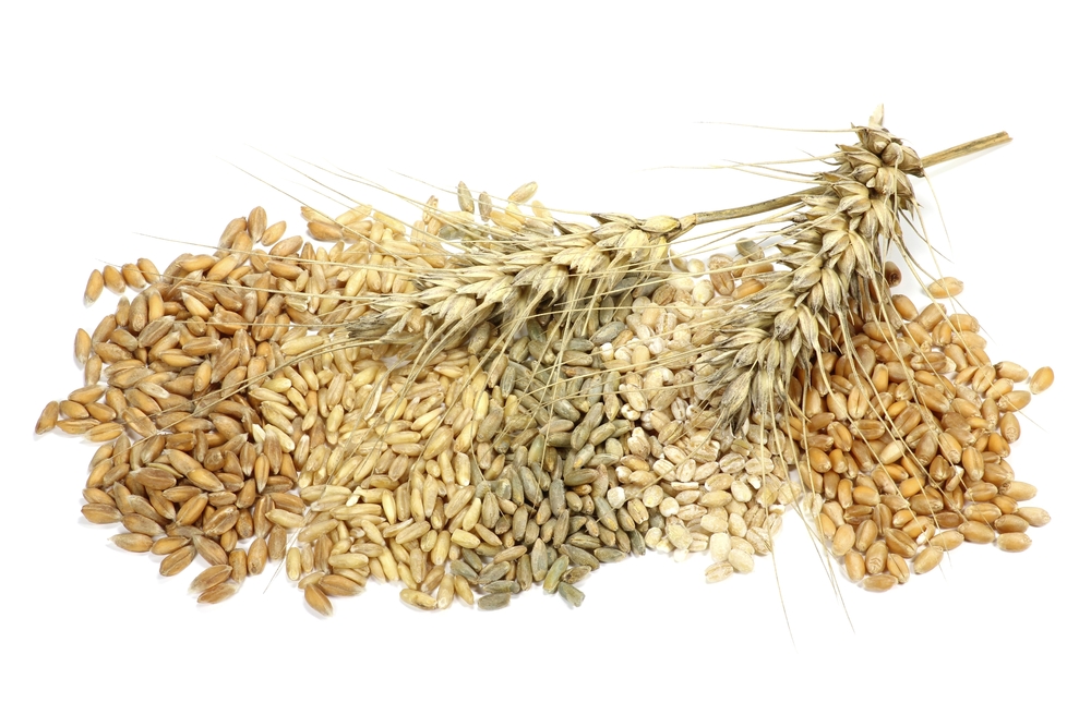 assortment of different cereals isolated on white background