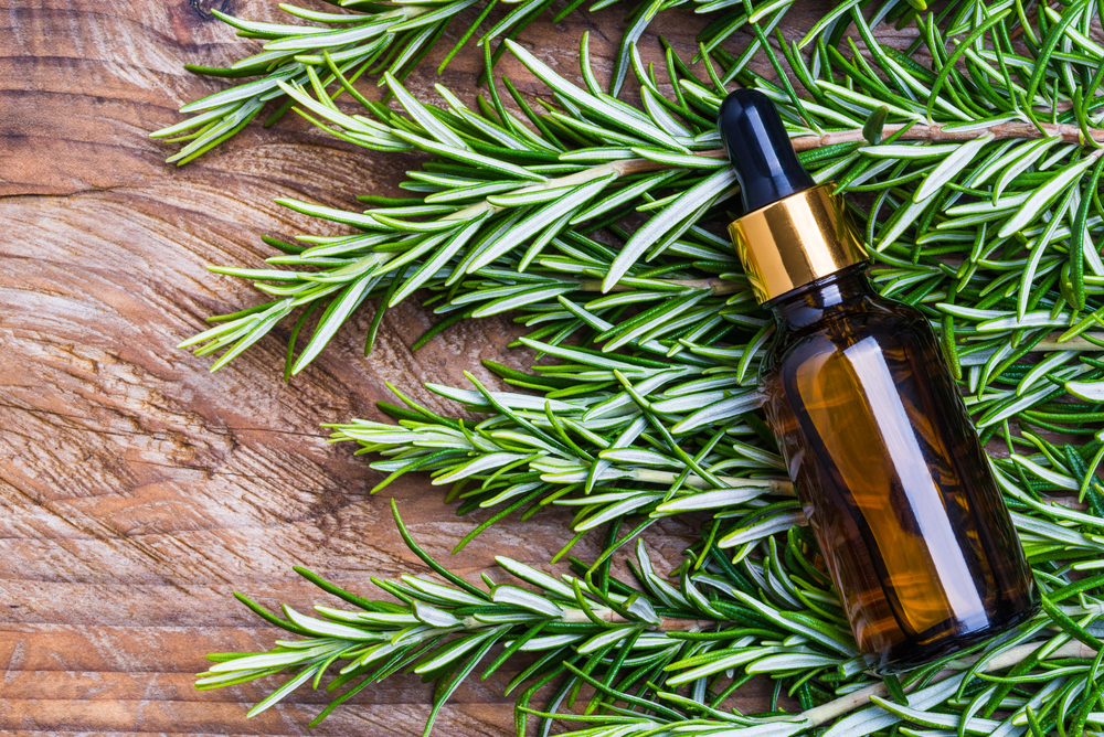 Rosemary oil bottle on wooden background copy space. Essential oil, aromatherapy natural remedies.