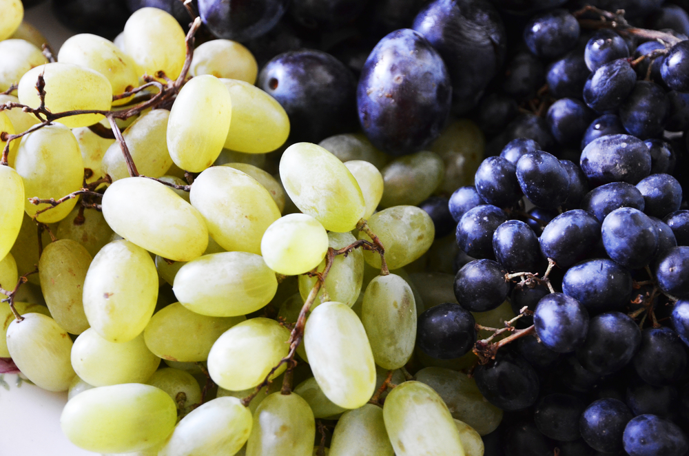 grapes of light and dark, berry background, screen saver