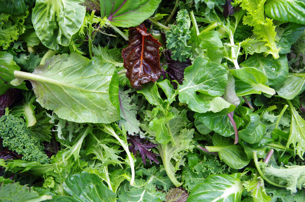 Fresh mixed salad field greens piled closeup view