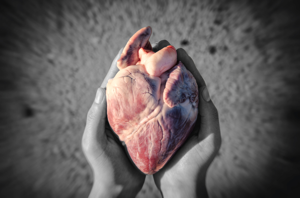 Heart in hands