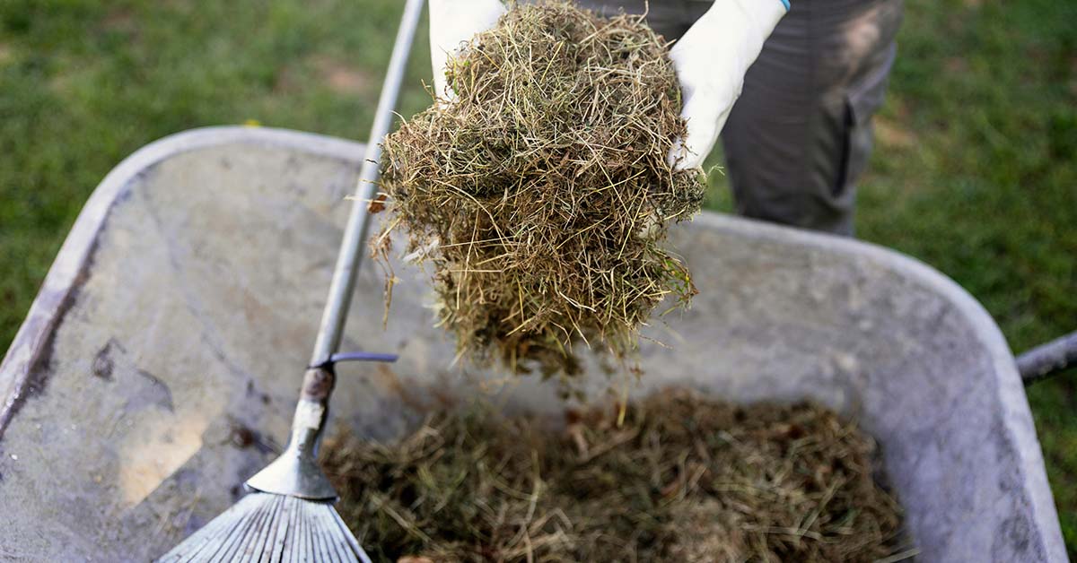 15 Clever and Unique Ways to Use Grass Clippings
