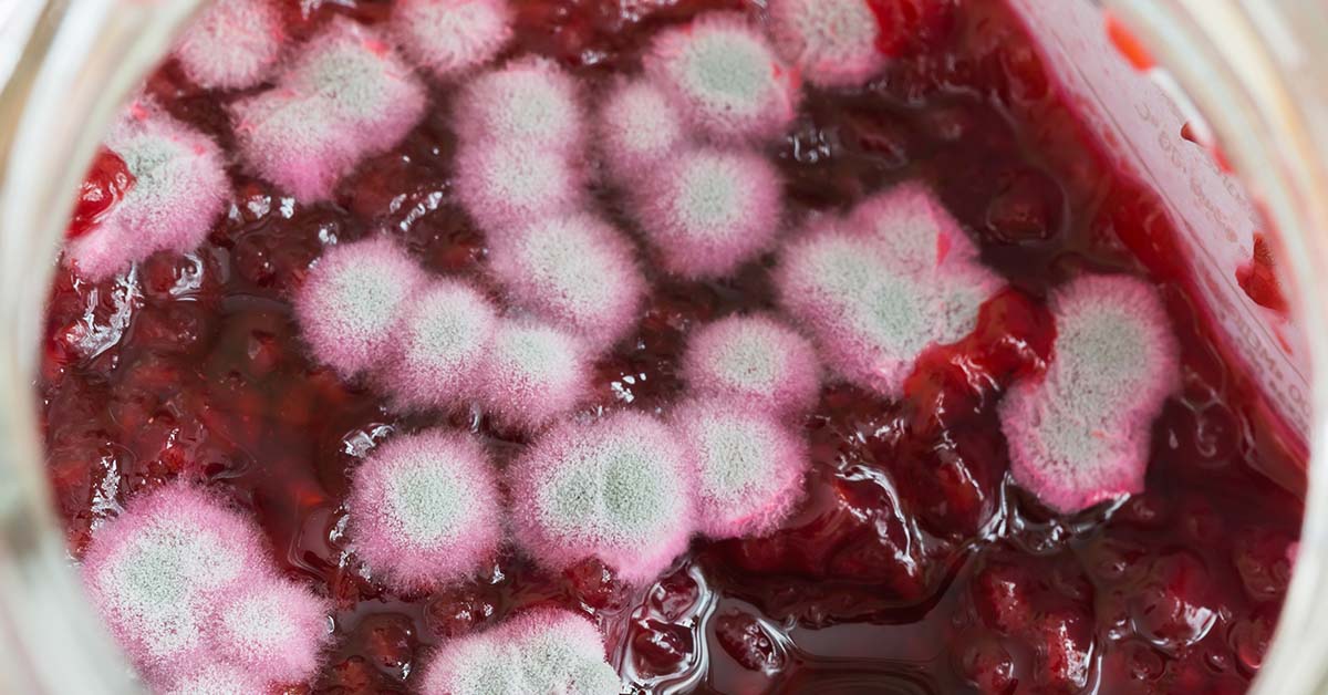 18 Foods To Toss As Soon As They Expire