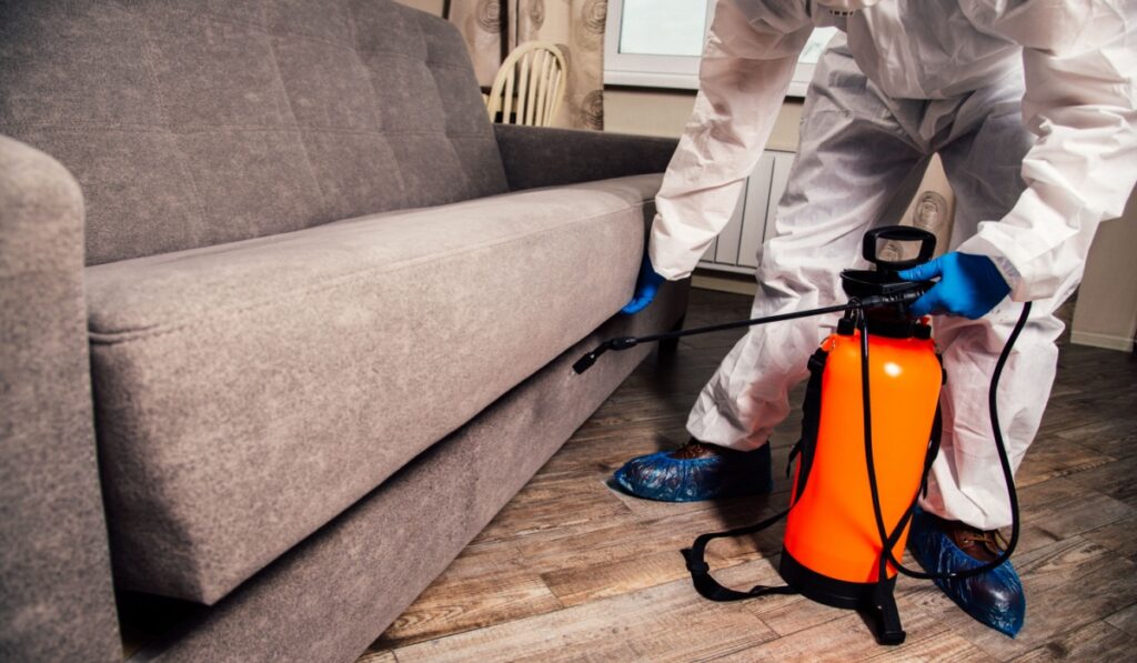 An exterminator in work clothes sprays pesticides with a spray gun. Fight against insects in apartments and houses. Disinsection of the premises