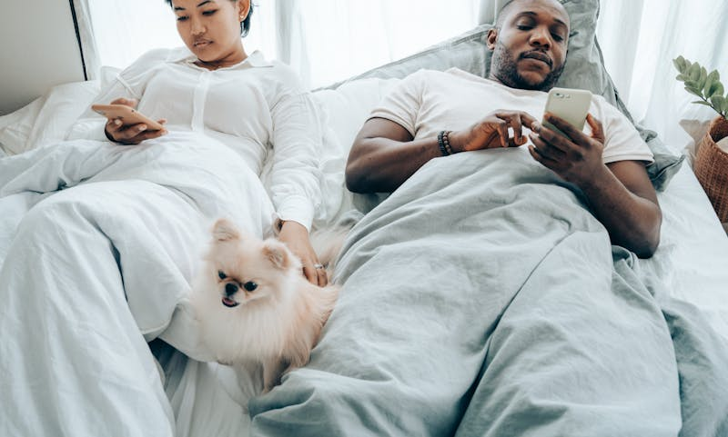 couple in bed on their phones