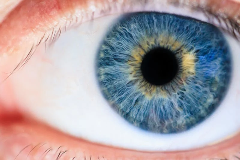 close-up of a blue eye