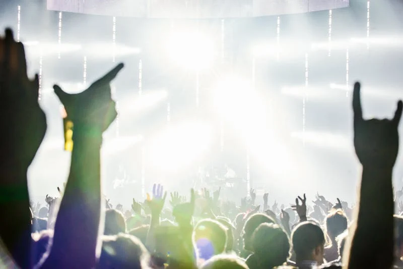 group of people at a concert