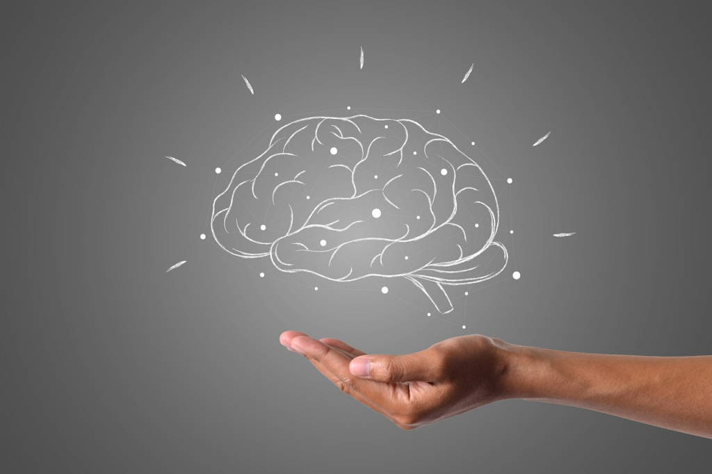 drawing of brain with hand
