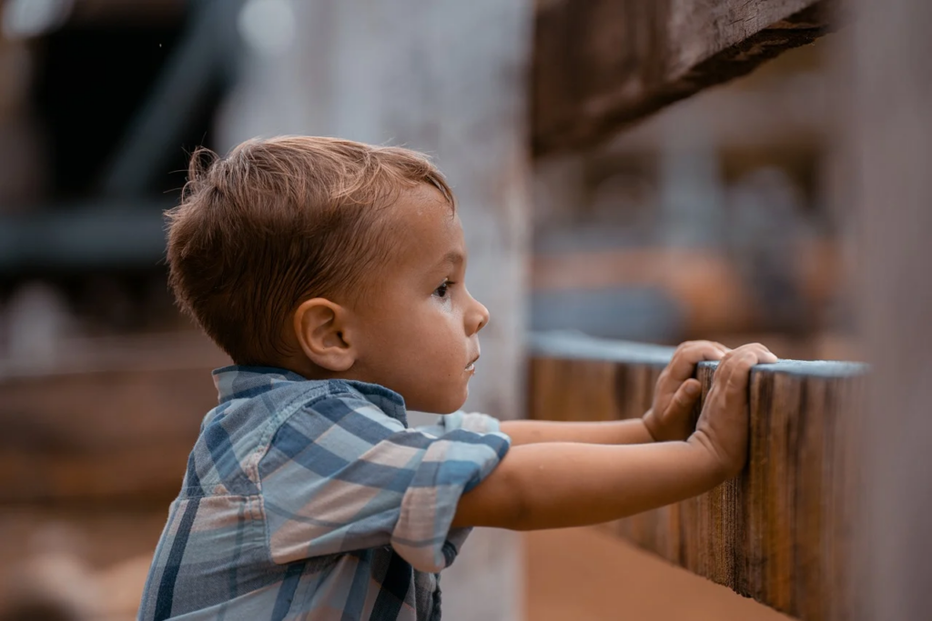 child looking out the window