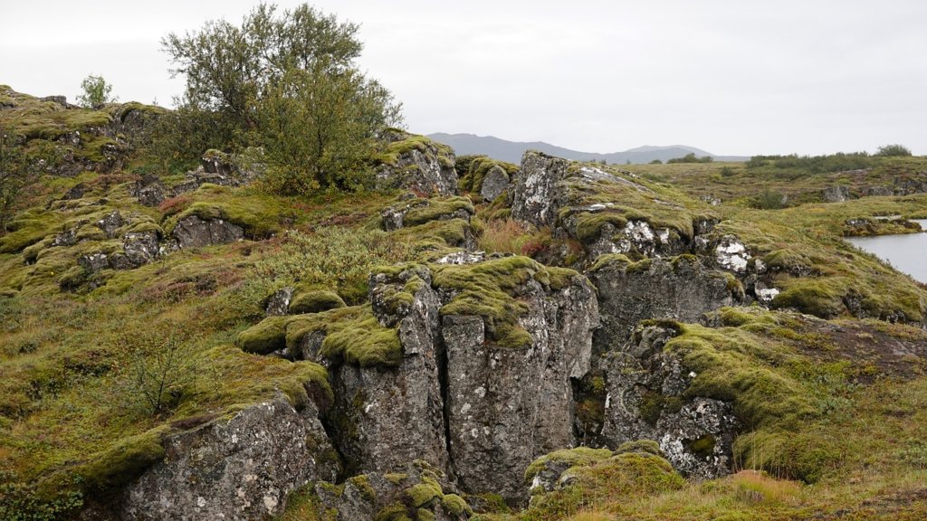 a hill slowly pulling apart