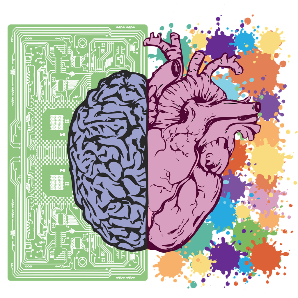 heart-brain connection