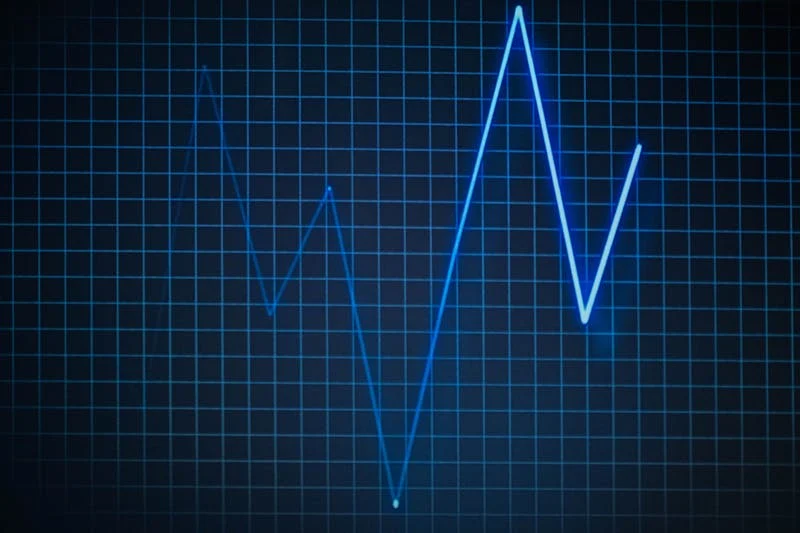 heart rate monitor