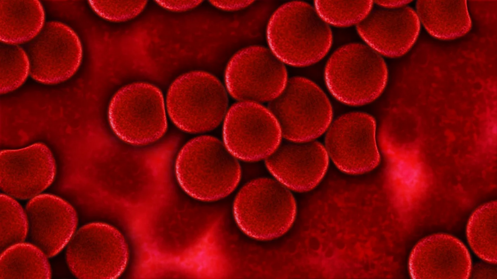 cluster of blood cells