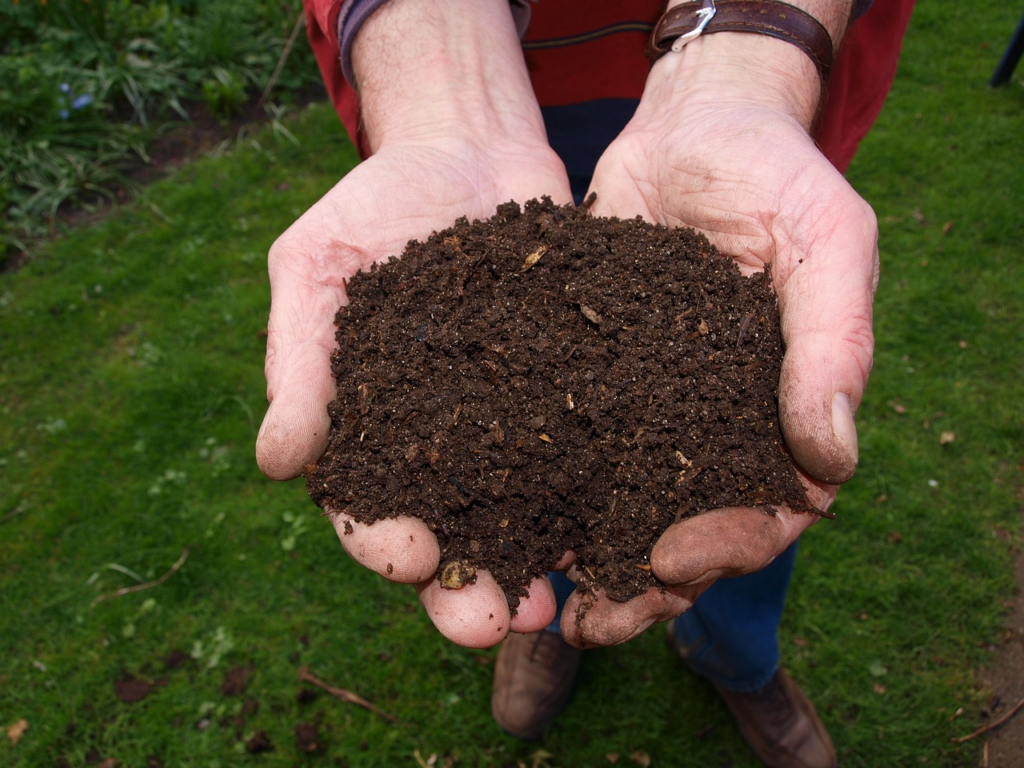 compost soil