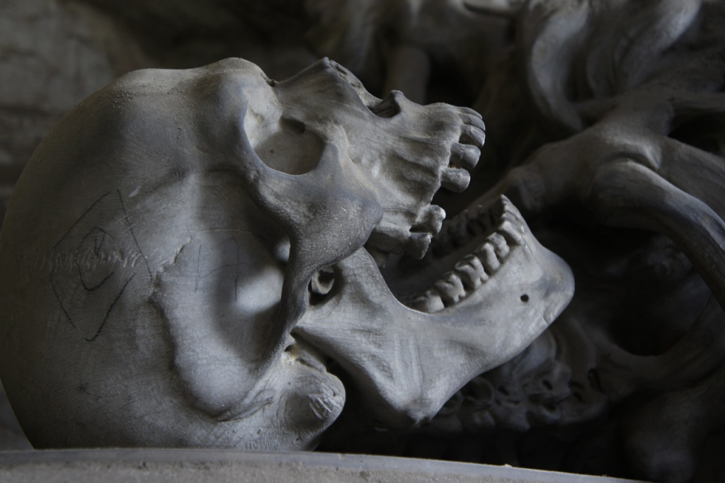 skull with bones i the background