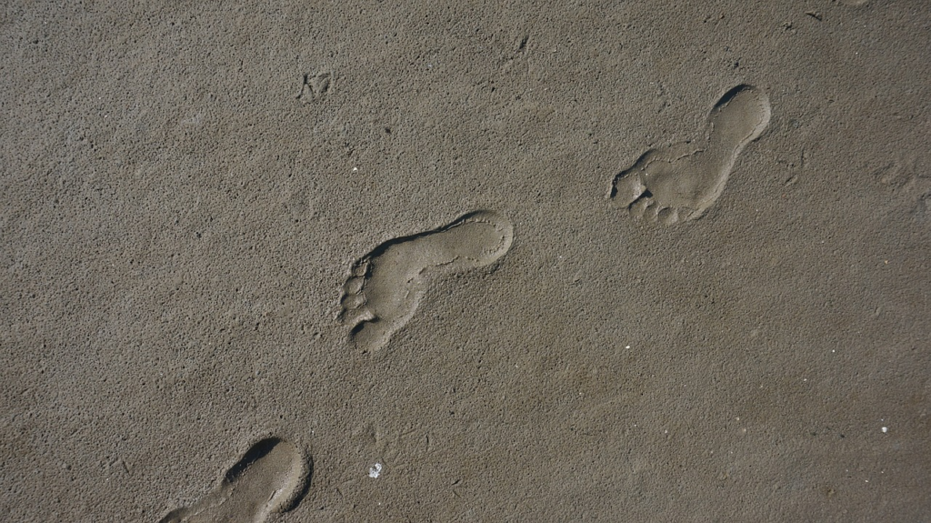footprints on the beach