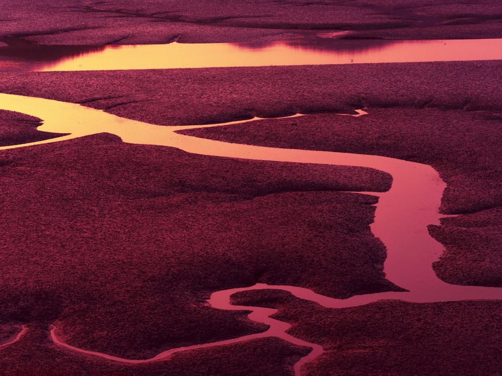 red streams of liquid