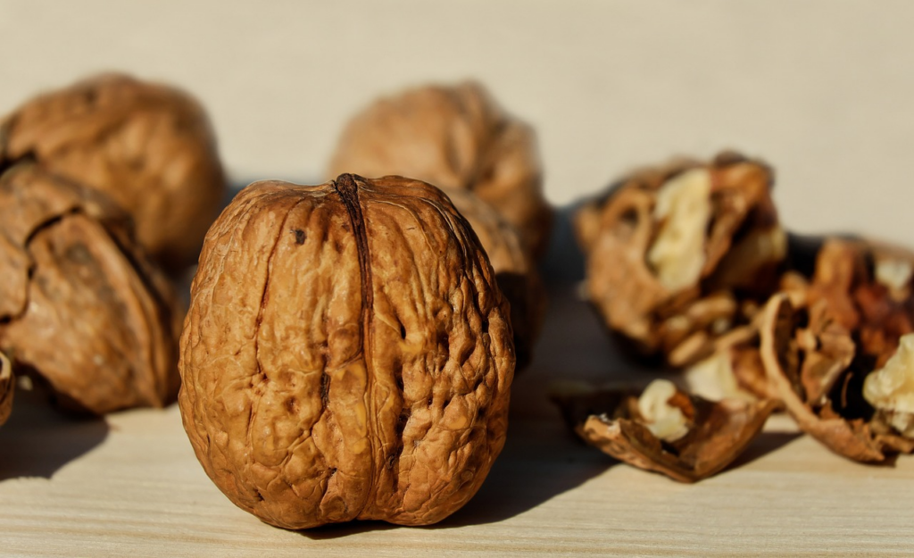 a couple walnuts, some whole some broken open