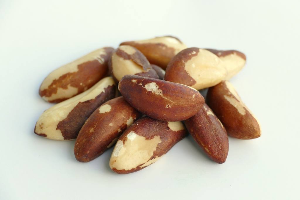 a small pile of brazil nuts