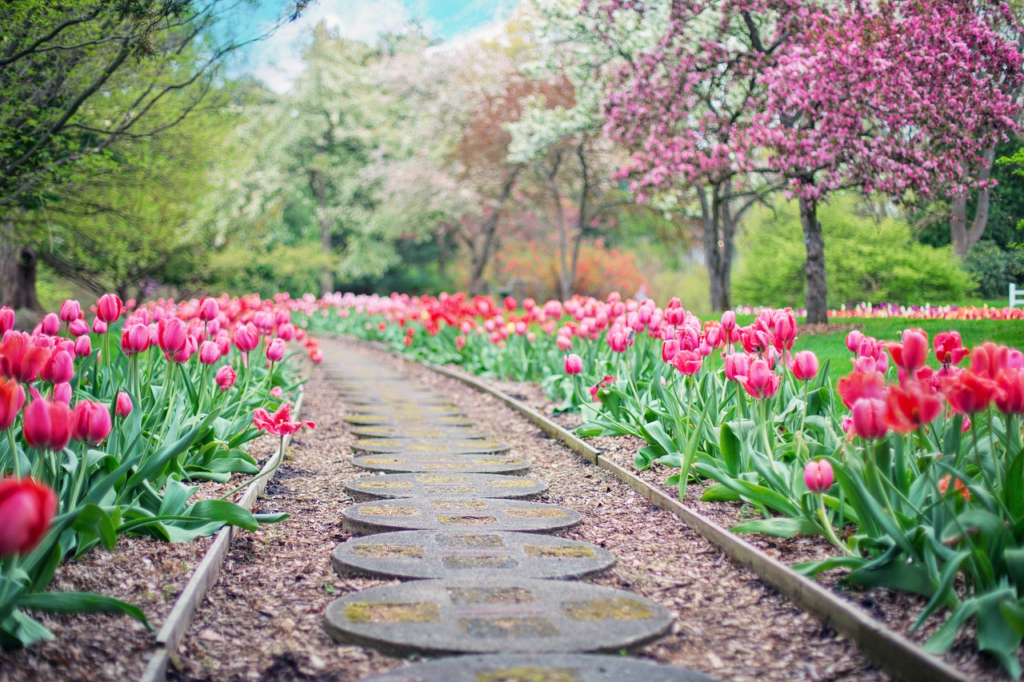 garden pathway lined with flowers