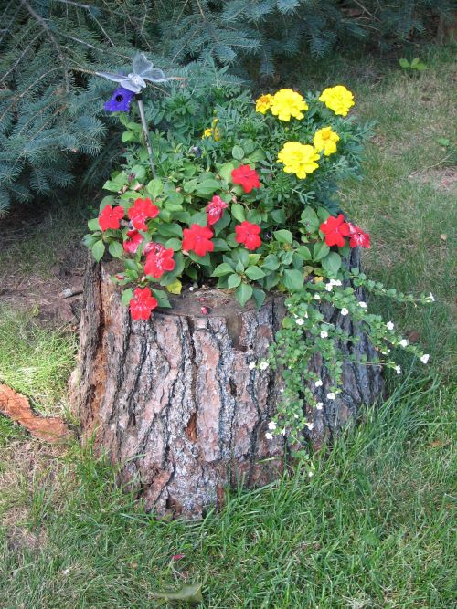 Tree Stump Planter
