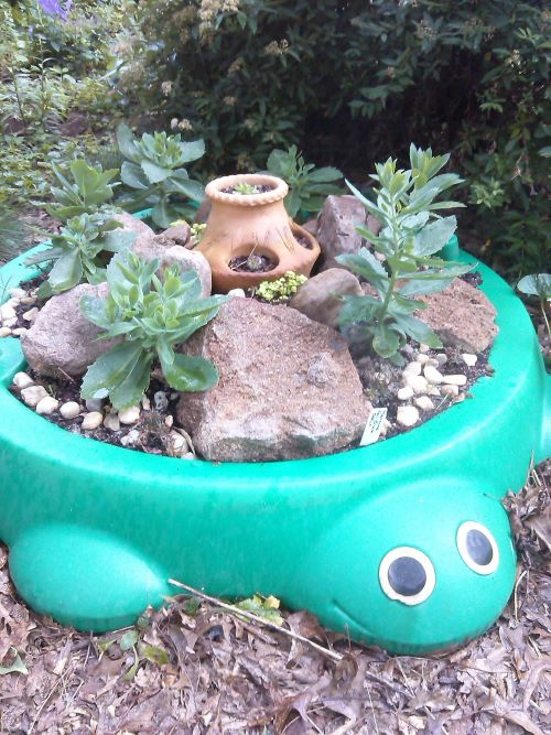 Sandbox Garden