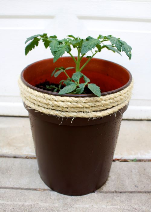 Bucket Planter