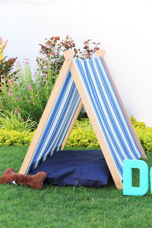 Dog Tent