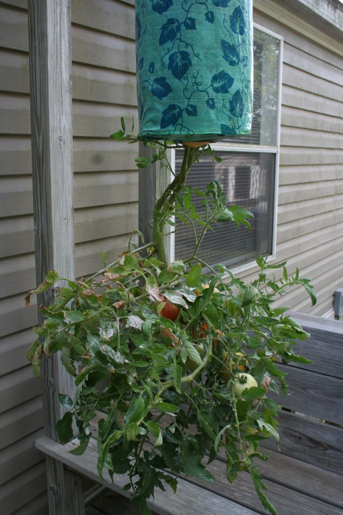Upside-down planter
