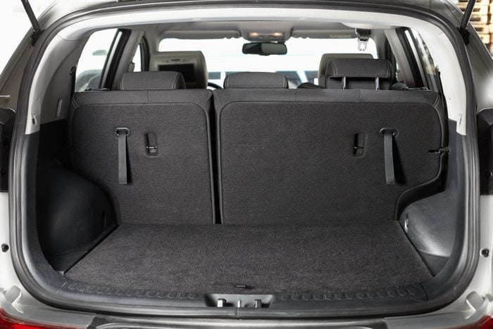 Trunk