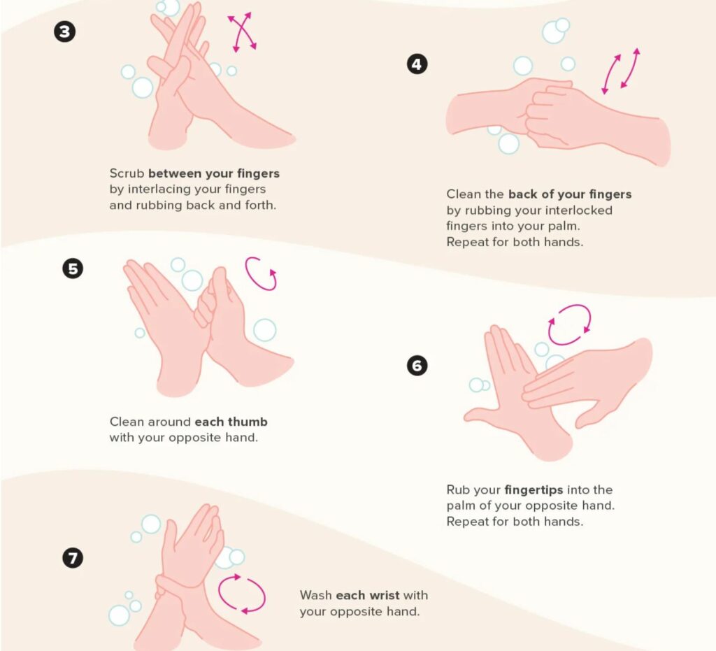 The last 5 steps of proper hand washing. 