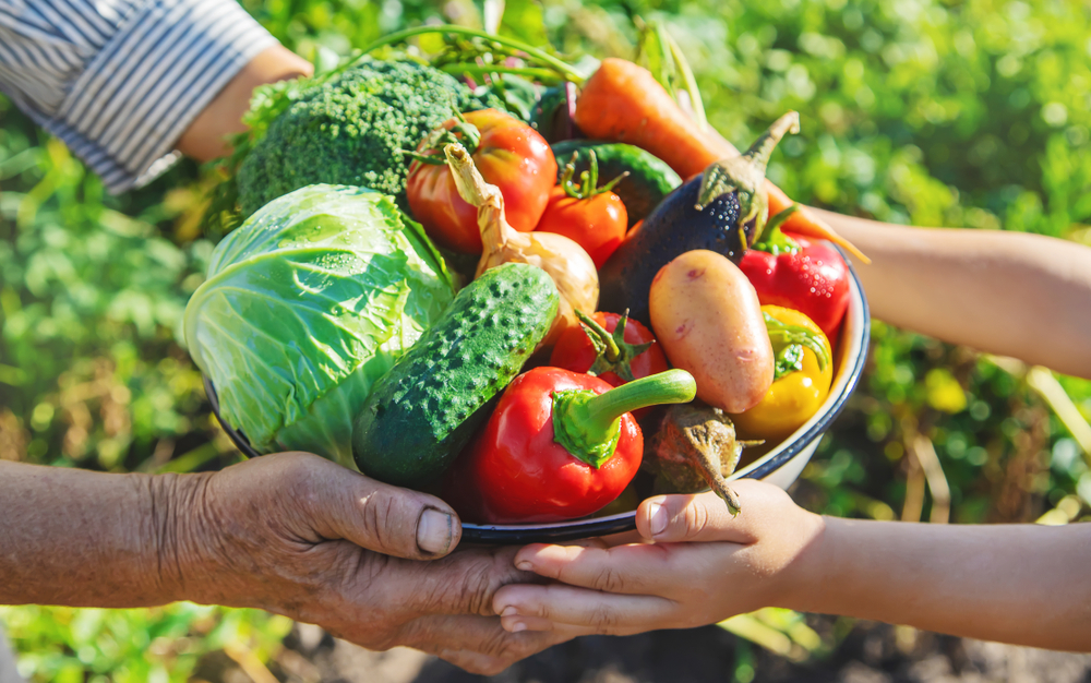 Child and grandmother in the garden with vegetables in their hands. Selective focus. nature.