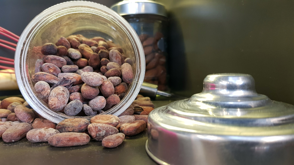 Cocoa bean seed (cacao) in the bottle for chocolate production. Cocoa is high in flavanol which antioxidant agent and benefit to cardiovascular and brain health. Organic and healthy food concept