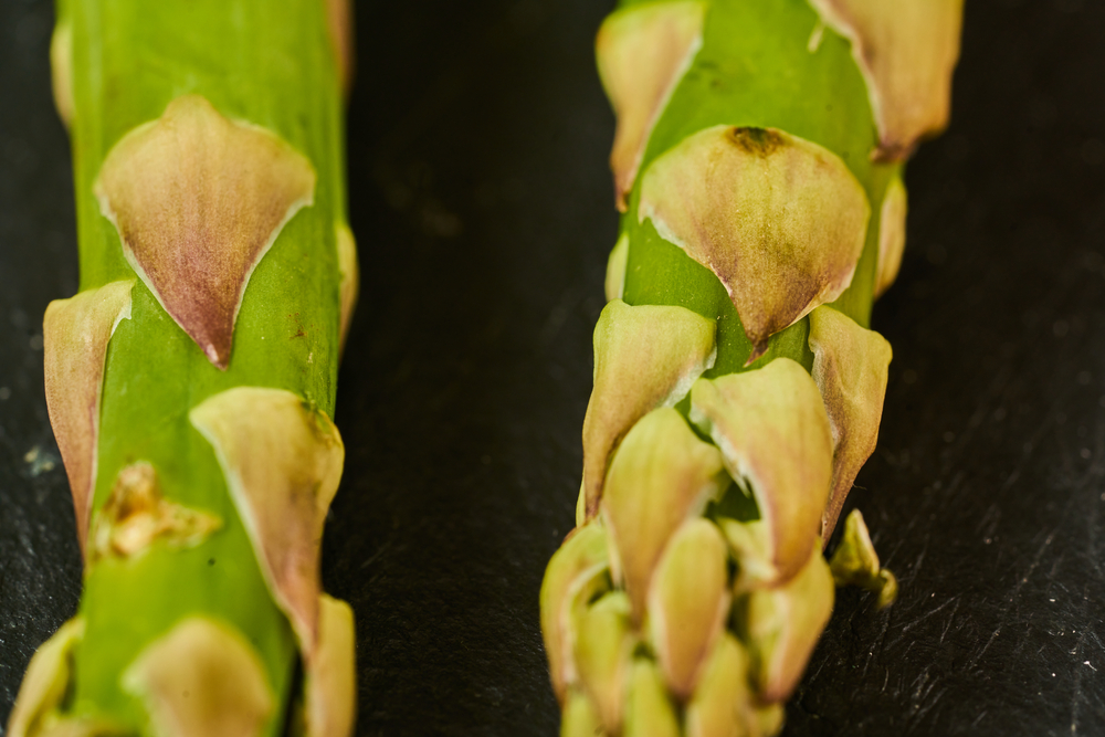 Bunch of fresh asparagus on wooden table.