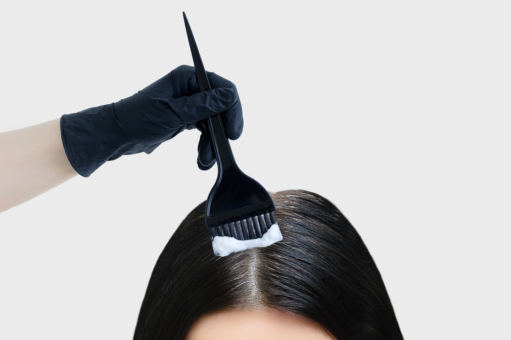 Dyeing gray hair. Brush in hand with paint dyes black hair. White background.