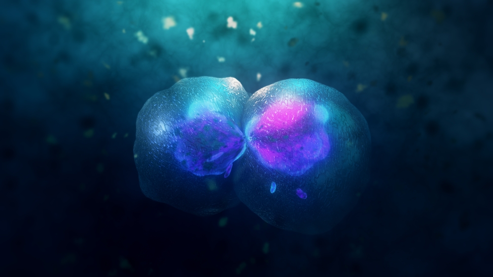 Cell division under a microscope. Cloning Cells. Cell mitosis.