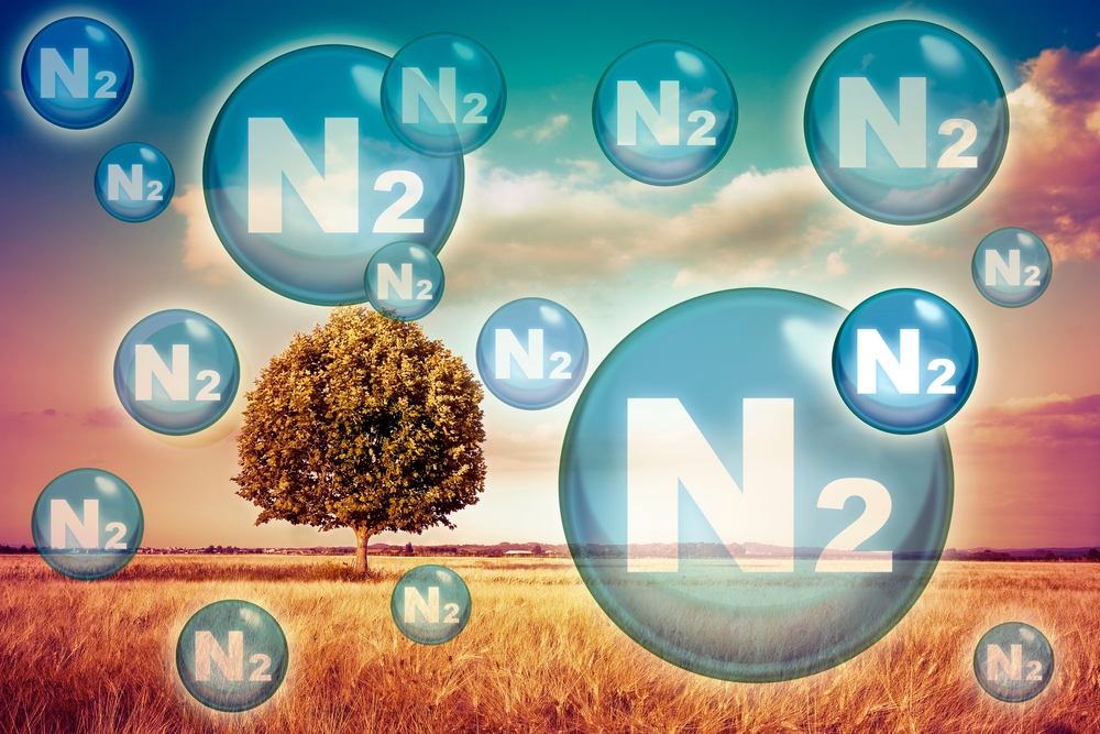 N2 nitrogen gas is the main constituent of the earth's atmosphere - concept with nitrogen molecules against a natural rural scene