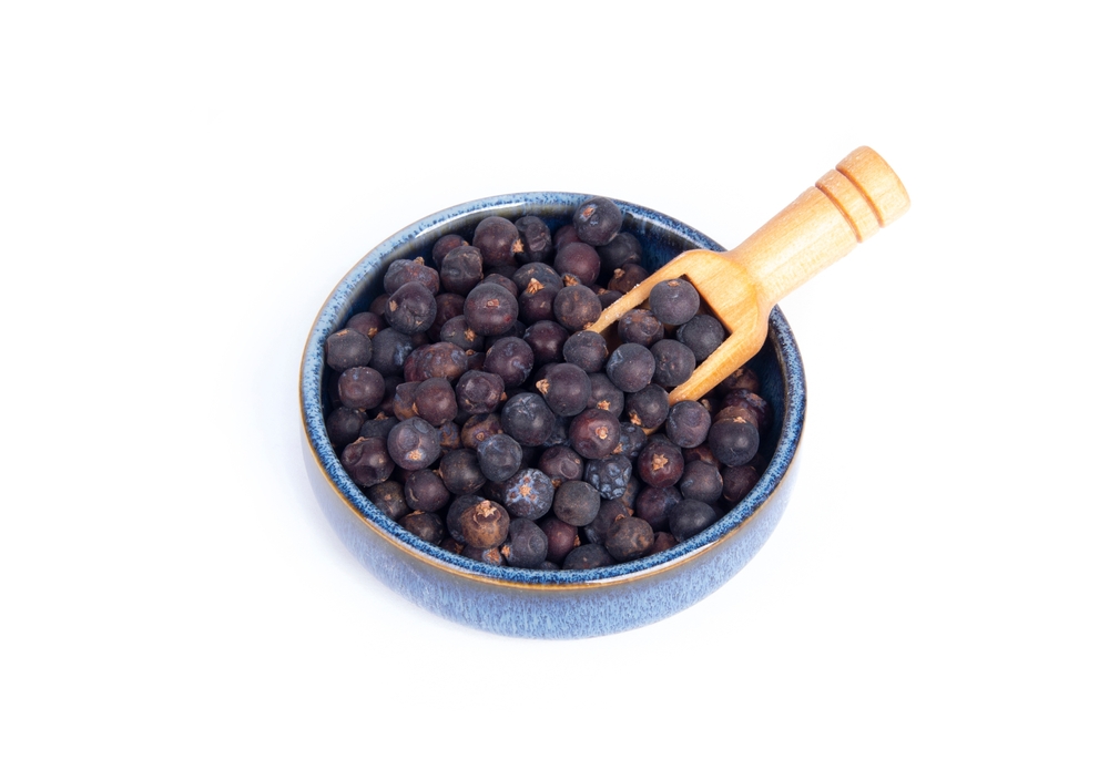 Whole Juniper Berries with Wooden Scoop in Blue Pottery Bowl in Side View or Three Quarter Shot Isolated on White