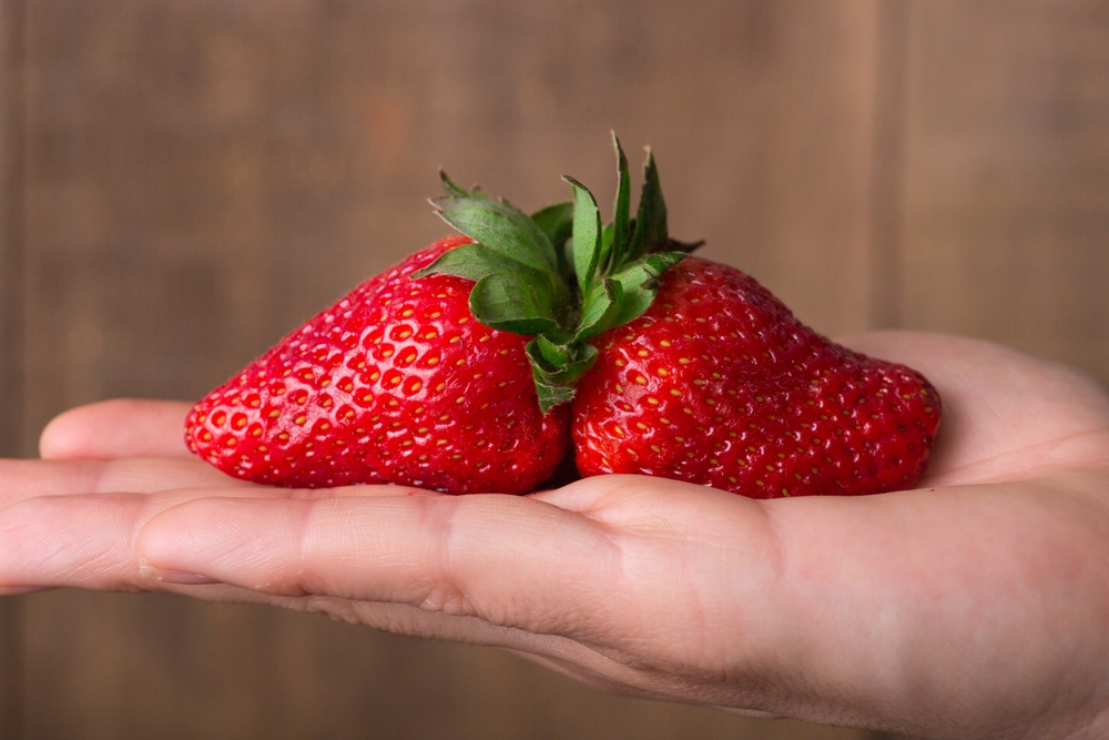 Fresh strawberries Conjoined twin red ripe