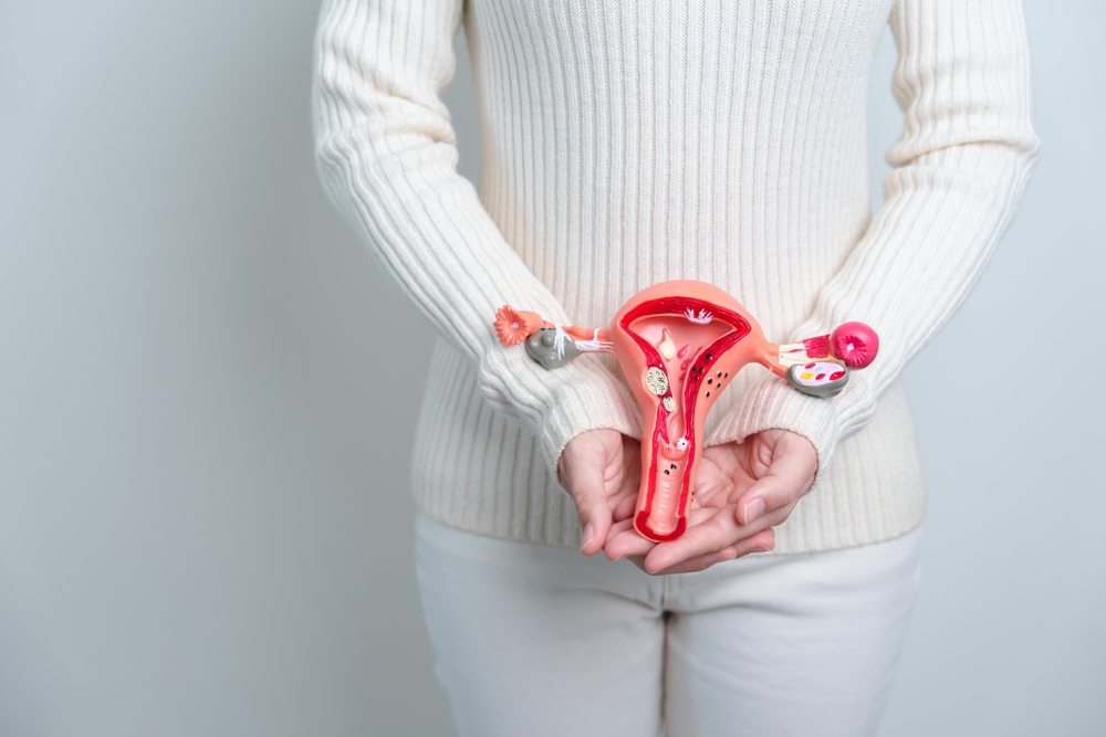 Woman holding Uterus and Ovaries model. Ovarian and Cervical cancer, Cervix disorder, Endometriosis, Hysterectomy, Uterine fibroids, Reproductive system and Pregnancy concept